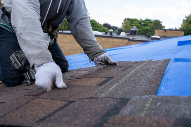 Roof Gutter Cleaning in Walls, MS