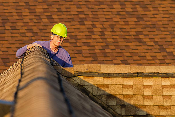 Best New Roof Installation  in Walls, MS