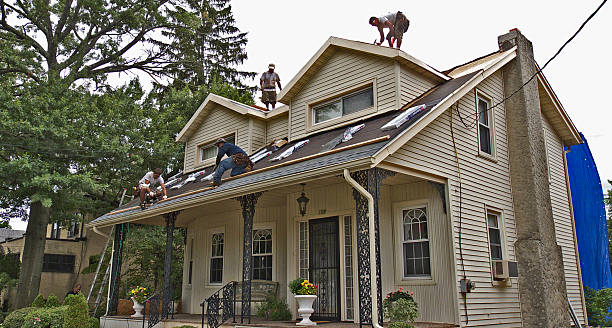 Best Roof Gutter Cleaning  in Walls, MS